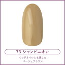 ネイルパフェ カラージェル73 シャンピニオン 2