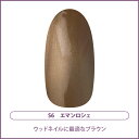 ネイルパフェ カラージェルS6 エマンロシェ 2g