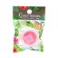 ネイルパーツ ラメ ホログラム グリッター B.N. 445 quatre quatre cinq Color Seeds QCS-3