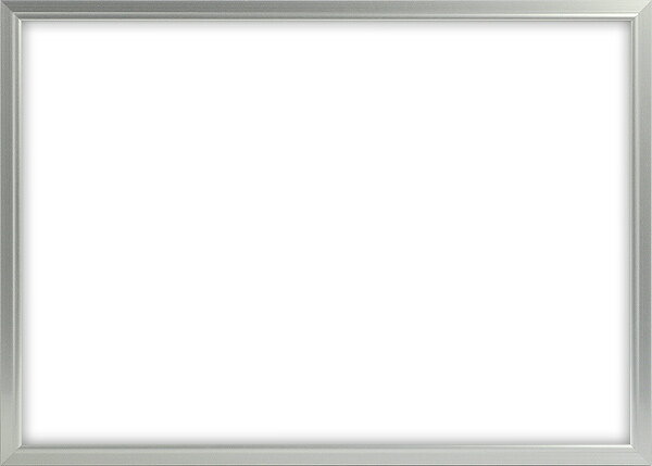 【あす楽】【アウトレット】アルミポスターフレーム「マイフレーム」　A1サイズ（841×59…...:naito-frame:10038045