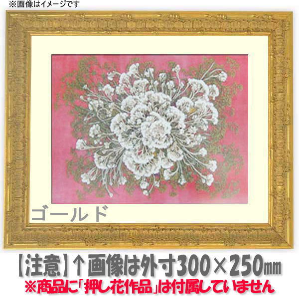 【レビューを書いてポイント10倍】押し花額縁　9386/G　49額サイズ（ガラス寸法483×393mm）【押し花用額縁】