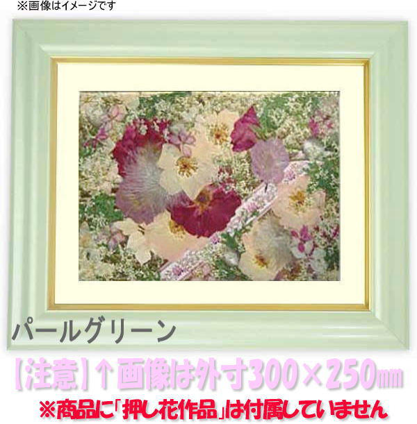 p[n̈ꉟt[BEFJ{[hȂǂɂ悭gpĂ܂ByzzԊz@D-35/p[O[@36zTCYiKX@358~288mm..