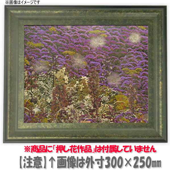 a͋C̃t[Ŏ኱ñc܂ByzzԊz@9368/O[@8TCY(KX@457~335mm)yԗpzz