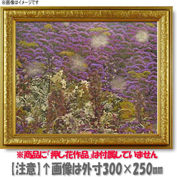 ̌hł̉iB炱oẢiByzyzzyzԊz@VC/S[h@15TCY(KX@655~..