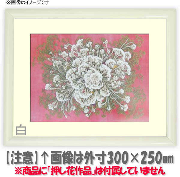 אg̉t[BׂŔrI傫ȃTCY̊zꍇɎgp鎖łByzzԊz@713/@L60zTCYiKX@600~300mm..