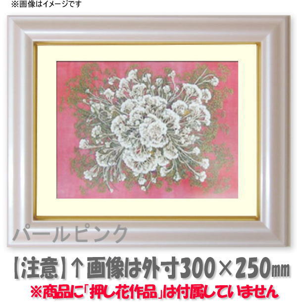 【レビューを書いてポイント10倍】押し花額縁　工芸型/パールピンク　49額サイズ（ガラス寸法483×393mm）【押し花用額縁】