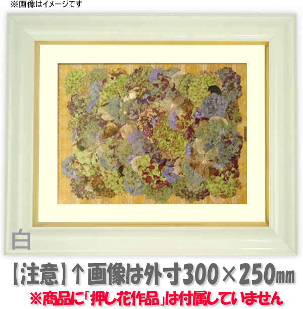 【レビューを書いてポイント10倍】押し花額縁　工芸型/白　49額サイズ（ガラス寸法483×393mm）【押し花用額縁】ホワイト系の定番フレーム。様々な作品によくマッチします。【額縁】