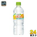 コカ・コーラ い・ろ・は・す みかん(日向夏&温州) 555ml ペットボトル 24本入〔いろはす ミネラルウォーター I LOHAS 〕
