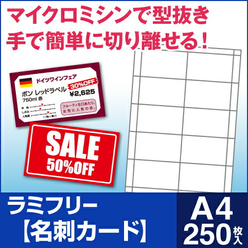 【送料無料】 ラミフリー 名刺カード 10面 A4 250シート　　[販促POP][プライ…...:nakagawa-direct:10000034