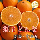 愛媛・中島産 紅まどんな 訳あり5kg サイズ不揃い