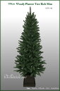 【クリスマスツリー 150cm】150cmウッディープランターツリーリッチスリム