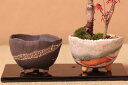 【植木鉢 盆栽鉢】信楽焼の三ッ足鉢【楽ギフ_包装】
