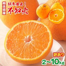 [※今だけ増量中!!※] みかん 訳あり <strong>不知火</strong> <strong>デコポン</strong> 2-10kg 500g補償付き <strong>熊本</strong>産 越冬蔵出し<strong>不知火</strong> 送料無料 ご家庭用 不揃い 常温便