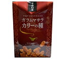 新宿中村屋 ガラムマサラ カリーの種 10袋 BOX 手土産...