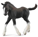 collecta (コレクタ) ホース シャイア 仔馬 フィギュア おもちゃ