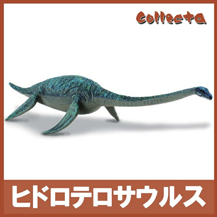 collecta iRN^j  _Ci\[ qheTEX tBMA 