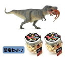 【当店でしか買えません】大人気 collecta (コレクタ)恐竜 ダイナソー テラノサウルス ストルティオミムス捕獲 88573 フィギュア & 恐竜ボーロ 50g 2個 (2種 3個セット)たまごボーロ(卵ボーロ)子供 男 グッズ 誕生日 誕生日プレゼント おもちゃ 2020