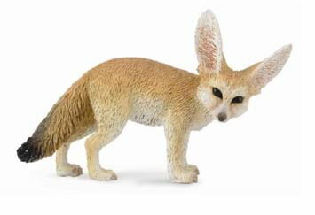 collecta iRN^j ̓ tFlbNMcl tBMA 