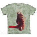 The Mountain Tシャツ Red Panda Forest (レッサーパンダ メンズ 男性用 男女兼用 ) XL-4L 【輸入品】 大きいサイズ 半袖