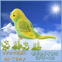TST ぬいぐるみ101 セキセイインコ ぬいぐるみ グリーン 【空の生物】 せきせいいんこ 動物 自然 ヌイグルミ おもちゃ クリスマス フィギュア