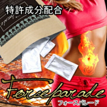 ※ゆうパケット送料無料※ 『フォースパレード　22.5g（250mg×90粒）』