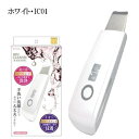 ※2個までゆうパケット送料250円※ 『ベルシーダ ( Be...