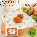 かわいい小梅ちゃん 1kg〔中田食品 お中元 梅干 梅干し 小梅 完熟 田舎漬 塩分11% 紀州 ナカタ なかた お弁当 お買い物マラソン マラソン クーポン 〕