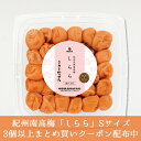 【送料無料】数量限定 中田食品 紀州産南高梅 しらら Sサイズ 300g 塩分5%