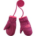 ノースフェイス NNB61501シェルミット【ベビー】幼児用中綿入り手袋/紐付きTHE NORTH FACEBaby Shell Mitt