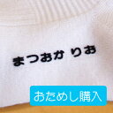 ★おためしセット★　フロッキー　ネーム　5個入　ひらがな (黒のみ 漢字 数字 カタカナ 不可)　送料無料　ね～むっこ