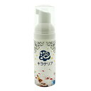 キラテリア ジュエリー万能クリーナー 泡タイプ 60ml 【...