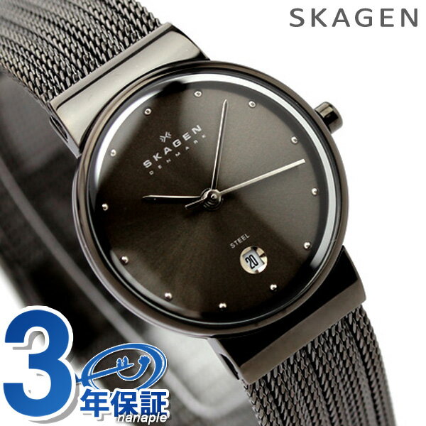 スカーゲン SKAGEN 腕時計 レディース ガンメタル×ガンメタル 355SMM1 