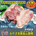【宮崎県産】みやざき霧島山麓雉 (きじ) 半身セット「モモ肉...