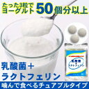 【ポイント10倍】【送料無料】乳酸菌+ラクトフェリ