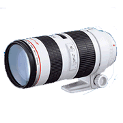 Υ EF70-200mm F2.8L USM[ե륿77mm]