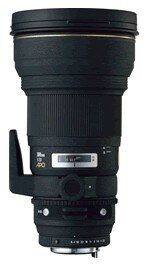 ޡAPO 300mm/F2.8EXDG/HSMڥ᡼󤻤ˤʤޤۡʥΥAF