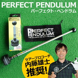 【即納】 PERFECT PENDULUM（パーフェクト・ペンドラム） TRMG NT27...:nankai-golf:10014176