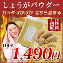 国産 生姜パウダー100g しょうが 粉末 高知県産 土佐一...