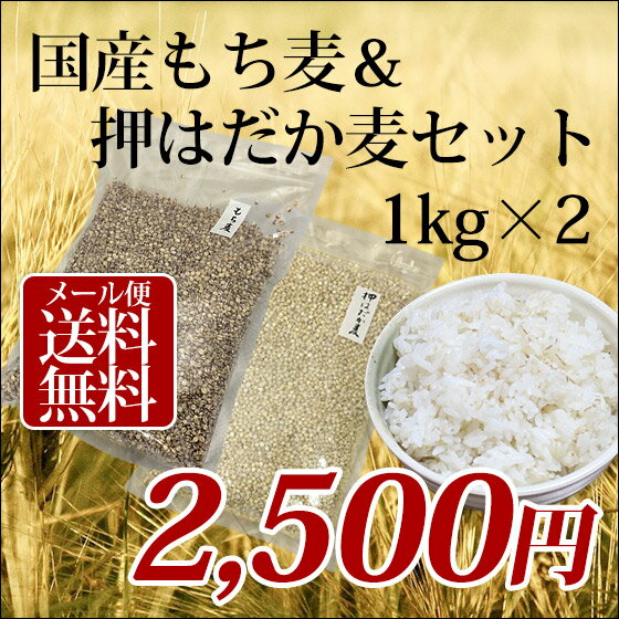 1kg~2 Y ͂ 唞 Hה׃Zbg 100%y[֑z