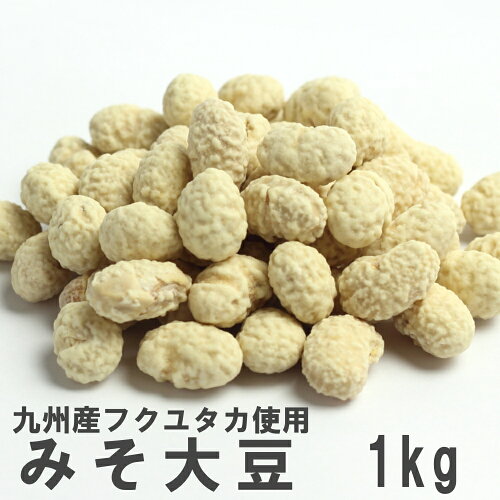 https://thumbnail.image.rakuten.co.jp/@0_mall/nanpudou/cabinet/shohin/misodaizu/imgrc0093977278.jpg?_ex=500x500