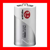 ジョインテックス アルカリ乾電池 単2×10本 N122J-2P-5