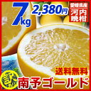 【送料無料】《訳あり 河内晩柑》南予ゴールド 7k