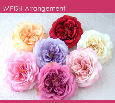 yZ[ SALEzyz35%OFF! RT[W wAANZT[@wAANZ ANZT[ t@bVw Ǝ   ylCzR..