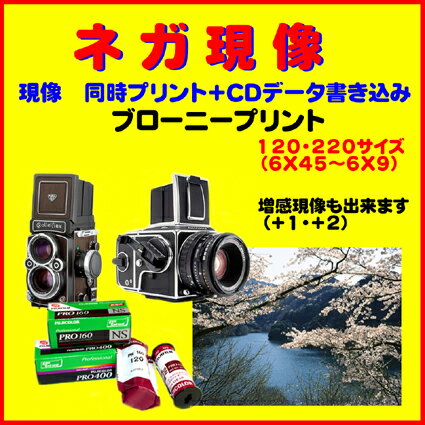 ブローニー　ネガ現像 　　同時プリント　HASSELBLAD　ZENZABRONICA　　Mamiya　PENTAX　Yashica　　　で撮った　ネガフィルム　120　220　フィルム　1本から受付