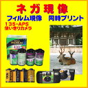 ネガフィルム ネガ現像 同時プリント FUJI Kodak 他 使い切りカメラ ネガ現像 135 APS 36枚撮りフィルム 1本から受付