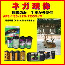 【返送料無料】 ネガフィルム ネガ現像 FUJI Kodak AGFA Solaris ネガ現像 135 APS 120 220 1本から受付