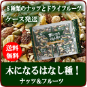 木になるはなし種ナッツ&フルーツ130g×10袋〜送料込