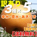 【送料無料/訳あり】和梨 5kg × 3種セット幸