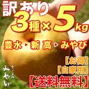 【送料無料/訳あり】和梨 5kg × 3種セット豊水+新高+みやびみやびのワケアリは他店とは、ひと味違います!梨 豊水梨 新高梨 にっこり 茨城 生産者直送