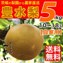 【送料無料】豊水梨 5kg みやびのワケアリは他店